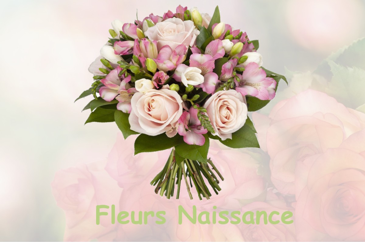 fleurs naissance PILLON