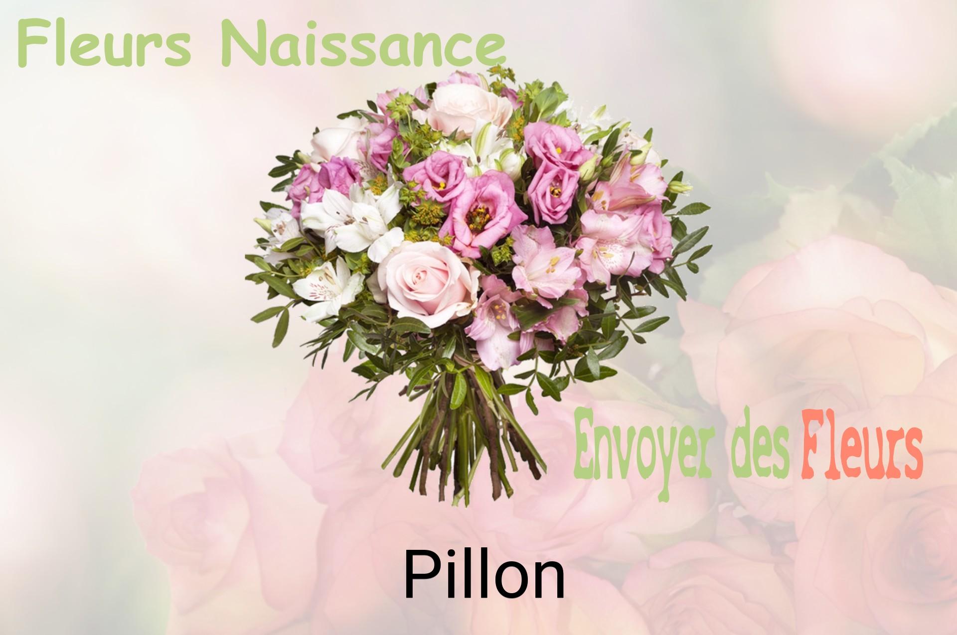 Bouquet de fleurs de naissance livré à Pillon