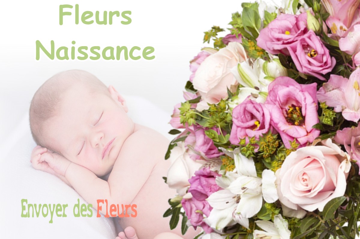 lIVRAISON FLEURS NAISSANCE à PILLON